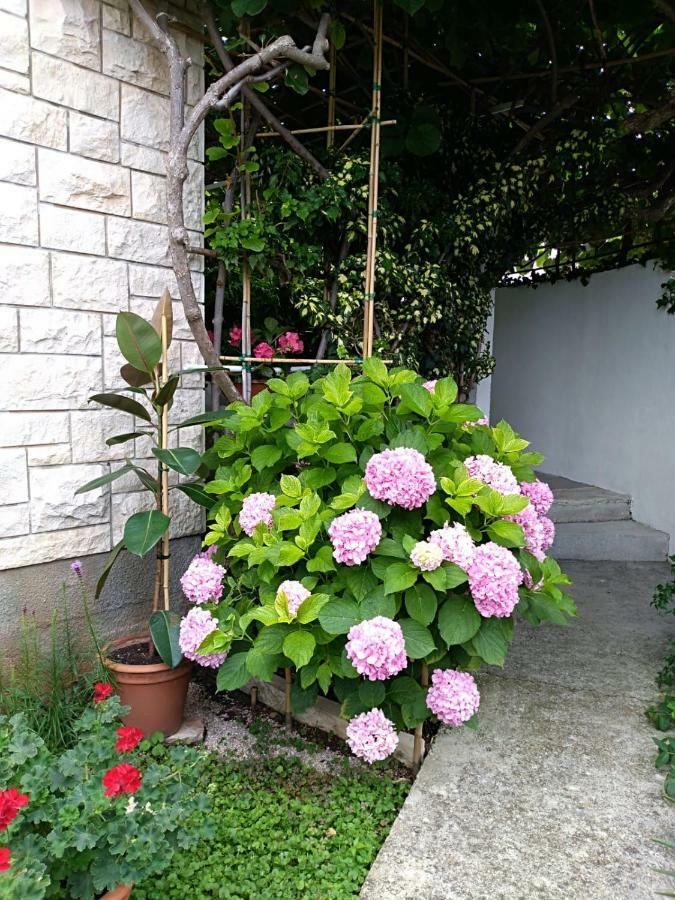 Apartman Mladenka ซูเปตาร์ ภายนอก รูปภาพ
