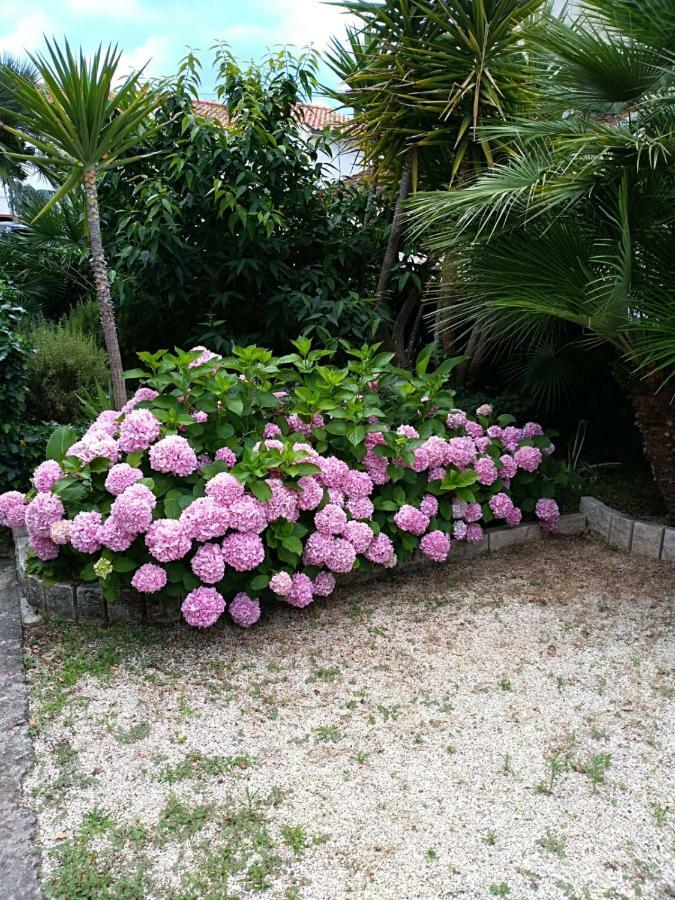 Apartman Mladenka ซูเปตาร์ ภายนอก รูปภาพ